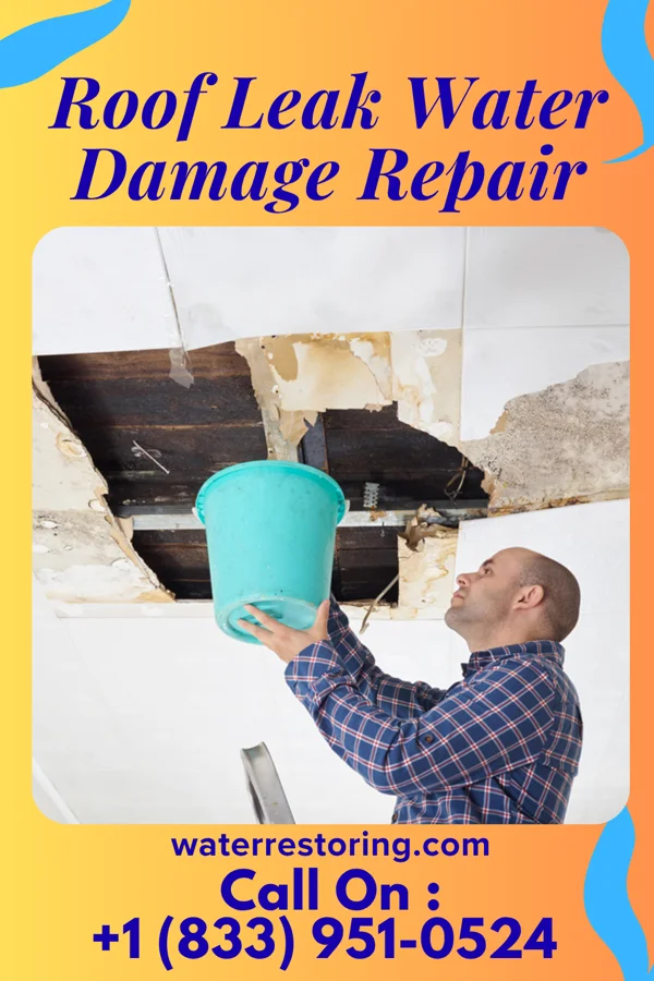 Roof Leak Water Damage Repair in Grand Coulee, WA
